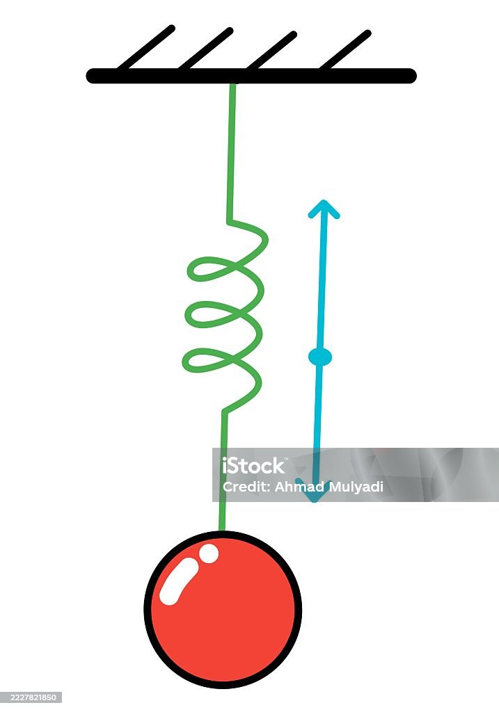 Oscillatory Spring Motion Red Ball Suspended By A Spring Showing Oscillatory Motion Stock ...