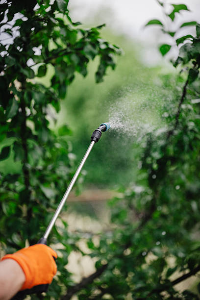 istock Preparing a solution to protect plants from insects and diseases and spraying 2227823951