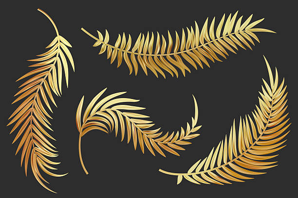 istock Golden palm leaves. Vector coconut tree branch isolated on black background. Exotic realistic foliage set. Abstract decoration for luxury invitation and presentation design. Botanical graphic collection 2227829202