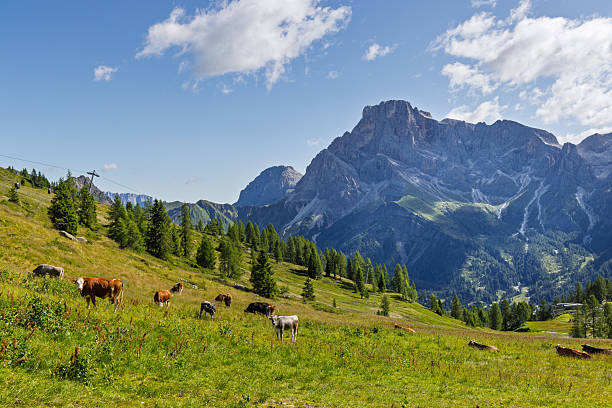 istock Hiking at Cima Tognola - Italy 2227831324