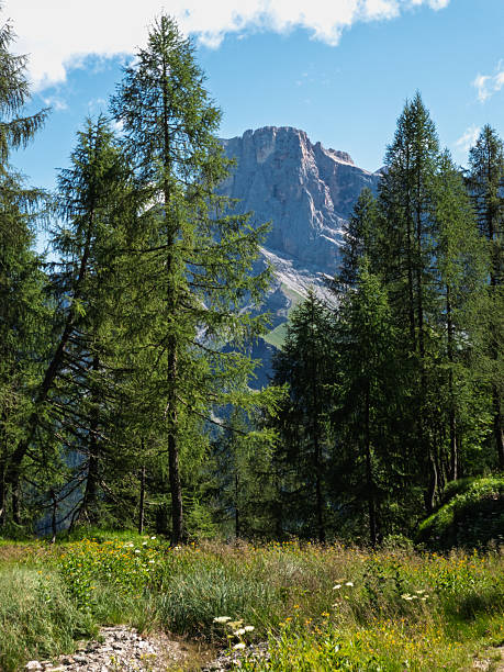 istock Hiking at Cima Tognola - Italy 2227833042