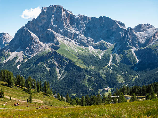 istock Hiking at Cima Tognola - Italy 2227833051