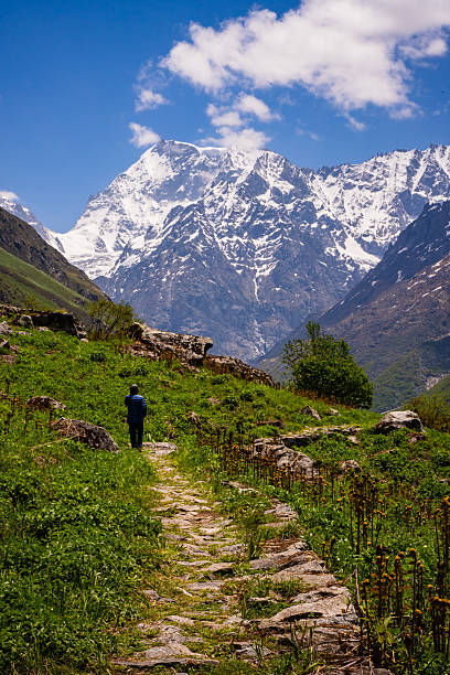 View through the branches Rhododendron tree at stunning Annapurna Himalayan mountain range from Poon Hill Trek, Nepal