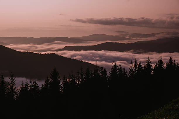 Breathtaking sunrise over the foggy Carpathian Mountains in Ukraine, featuring Khomiak Mountain. Silhouetted trees and a colorful sky enhance the natural beauty.