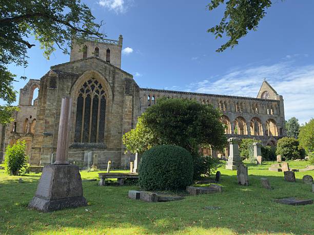 The ruins of Jedburgh Abbey seen against a blue summer sky, in the town of Jedburgh, Scotland