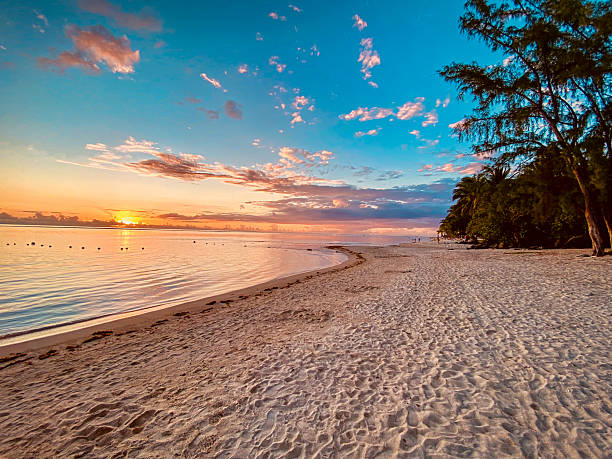 istock Dream Beach in Mauritius with Palms and Sunset Glow 2227842005