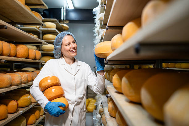 istock Production of premium quality cheese wheel. 2227844220