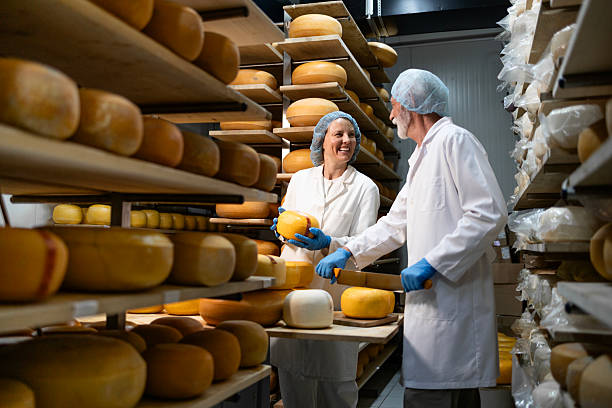istock Working together and making high quality cheese in dairy aging room. 2227844341