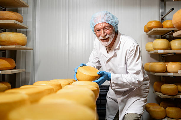 istock Craftsman producing high quality cheese. 2227844394
