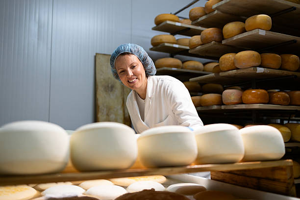 istock Production of mozzarella cheese. 2227844506