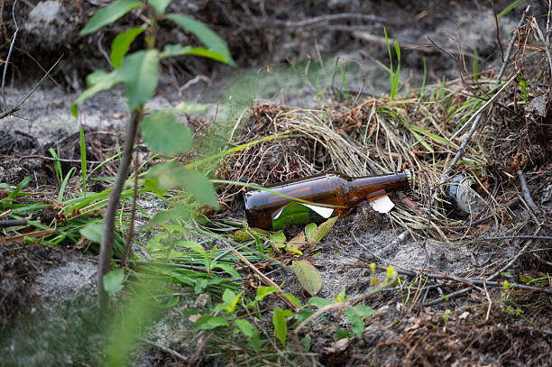 An Abandoned Bottle Found Amidst Natures Resilience and Struggles for Survival and Growth