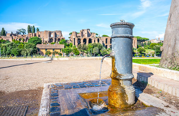 A city fountain with flowing water surrounded by cobblestones, Rome, Italy. Background includes ruins of ancient city of Palatine Hill.