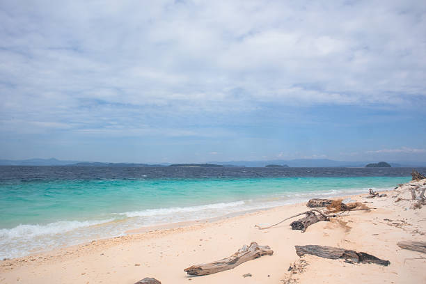 Philippines, Samar, coconut palms, surfers on beach.