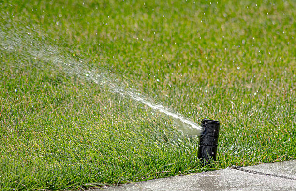 istock Lawn Sprinkler Watering Fresh Grass 2227865415
