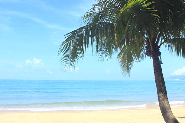 Beautiful tropical beach, Klong Prao Beach, Koh Chang Island, Thailand.