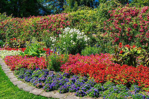 Lush blooming flowers at a garden in Tacoma, Washington.