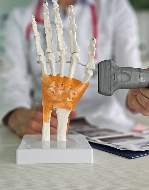 istock Doctor examines anatomical hand model using a scanning device 2227887472