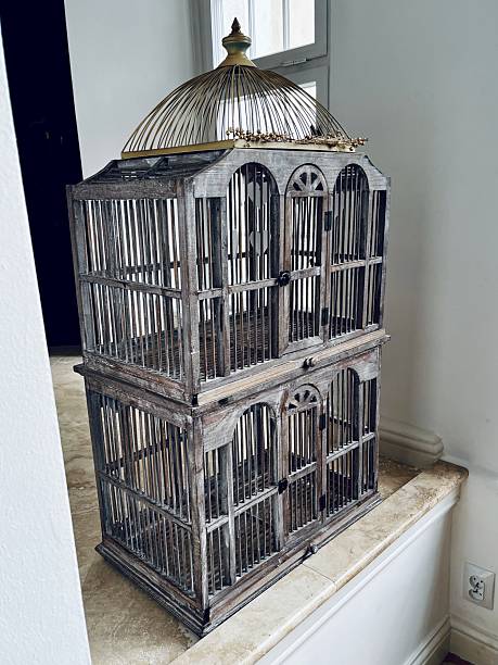 Rustic wooden birdcage with a stylish golden canopy, great for interior design.