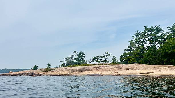 istock The Windswept Pine of Killbear Provincial Park 2227895141