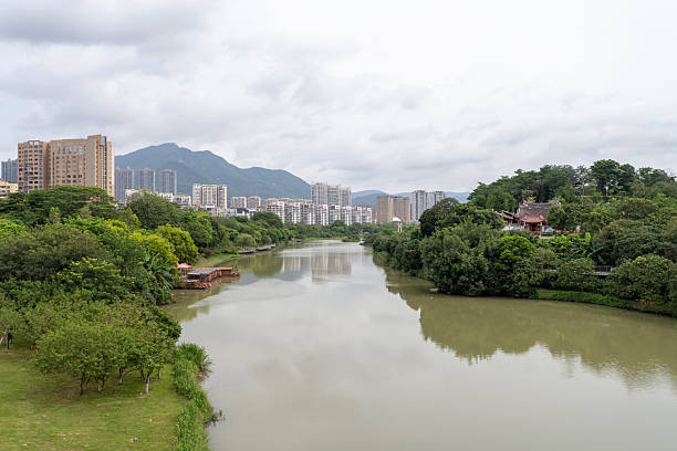 A serene urban river view featuring lush greenery on both banks, with modern buildings and distant mountains under an overcast sky. The scene conveys tranquility and harmony between nature and city life. Potential for use in environmental conservation campaigns or urban planning materials.
