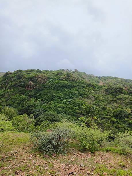 istock Rocky, hilly landscape 2227900235