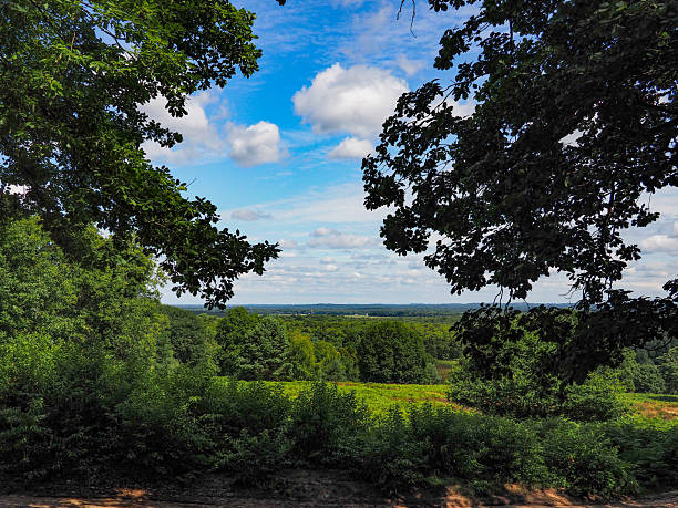 istock Landscape View of Wahner Heide 2227901219