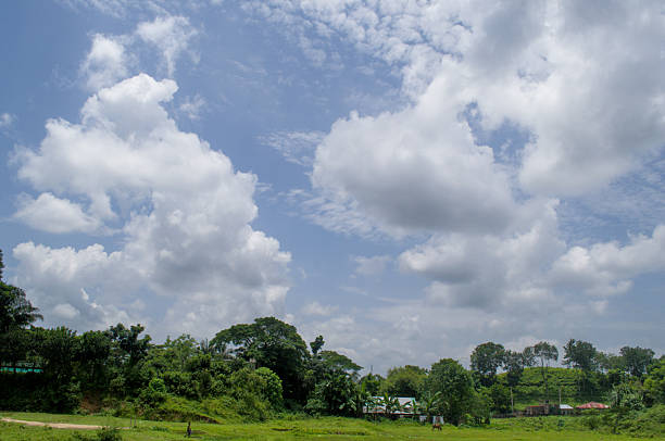 Captivating view of a cloudy sky over green fields and trees, a tranquil nature landscape.