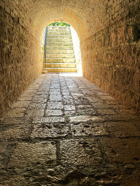 istock Tunnel Beneath Rose Hall, Jamaica 2227906617