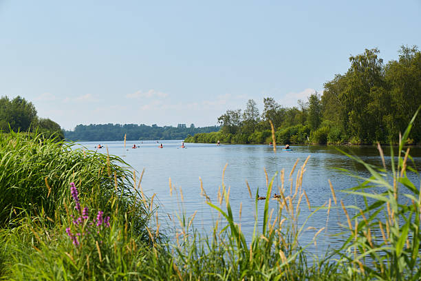 istock A stunning scenic river view adorned with lush greenery, featuring enthusiastic kayakers 2227926261