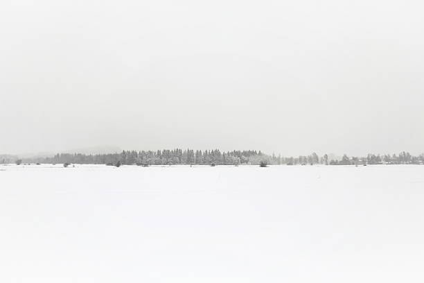 A tranquil winter scene unfolds as nature wears a snowy mantle, embracing frozen trees in a serene dance. A charming cabin nestled on the hillside completes the picturesque tableau, inviting warmth and serenity to this beautiful winter wonderland.