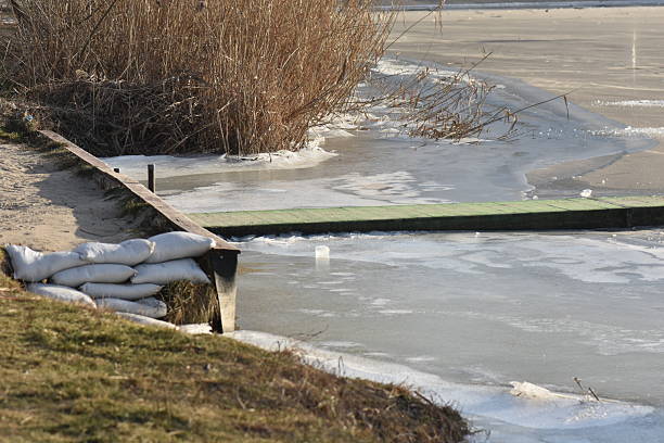 istock dry reeds in ice 2227928880