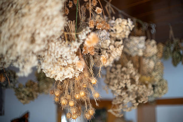 istock Rustic Dried Flower Arrangements Hanging from Ceiling 2227929219