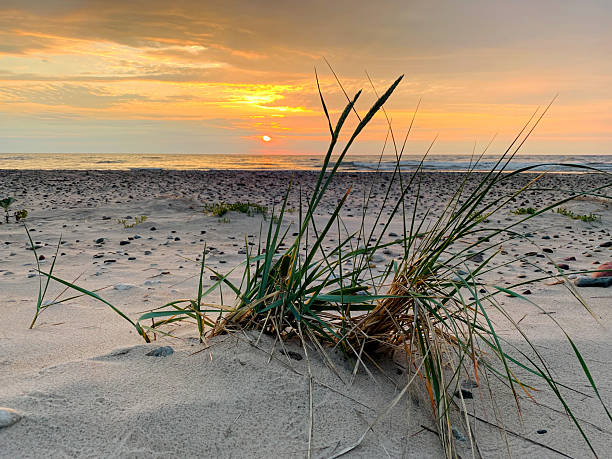 istock beautiful colorful sunset 2227930828