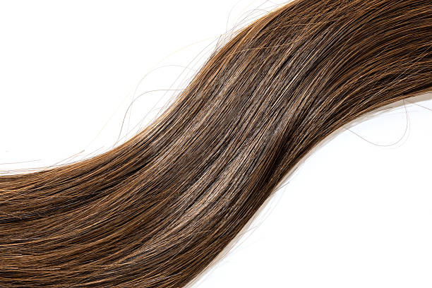 istock brown hair on white background 2227931879