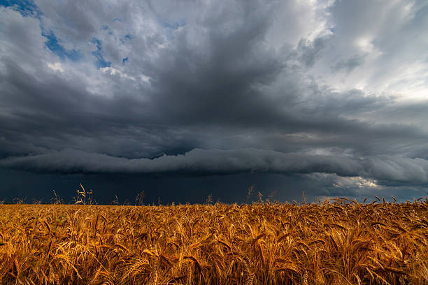 istock WEATHER Dramatic black rain clouds over fields and country road 2227932210
