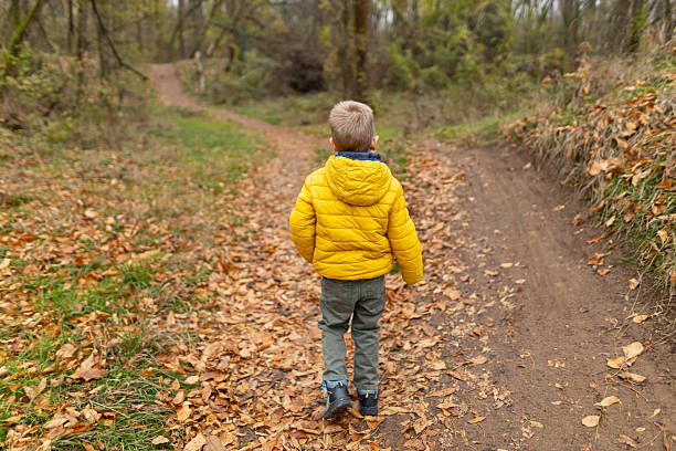 A boy walks alone through the autumn forest, surrounded by warm colors and the rustling of leaves  around him