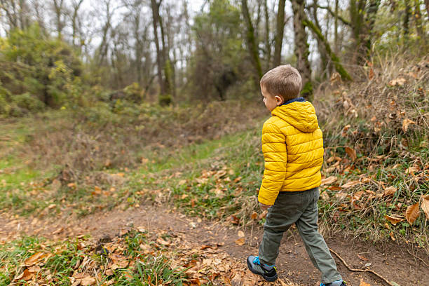 A boy walks alone through the autumn forest, surrounded by warm colors and the rustling of leaves  around him