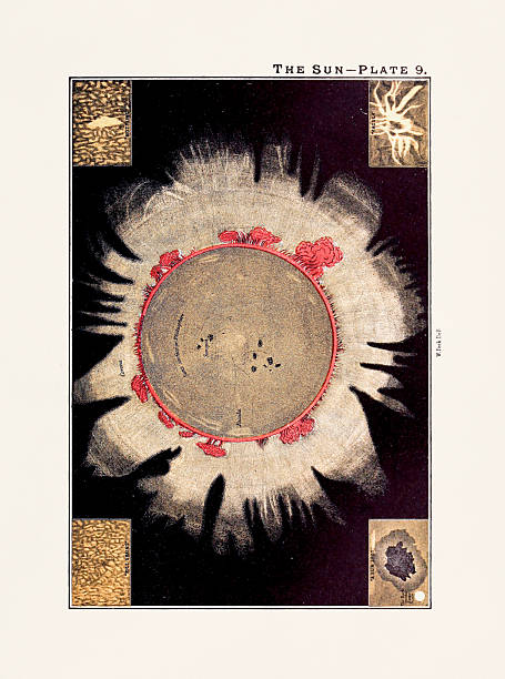 Vintage astronomy illustration. Ca 1891 Vintage astronomy illustration. Astronomical plate published in New York in 1891, depicting celestial phenomena and star charts. constellation cygnus stock illustrations