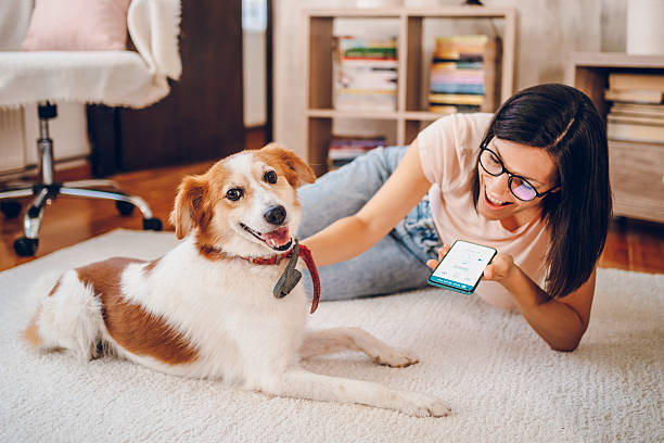 istock Woman with dog using phone 2227934869