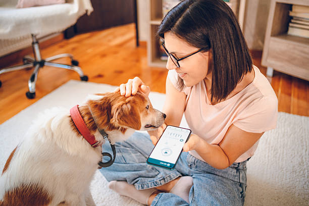 istock Woman with dog using phone 2227935469