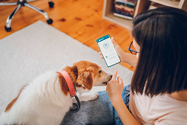 istock Woman with dog using phone 2227935620