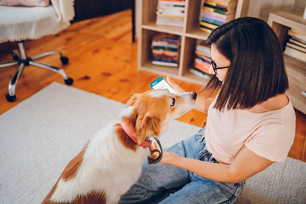 istock Woman with dog using phone 2227935658