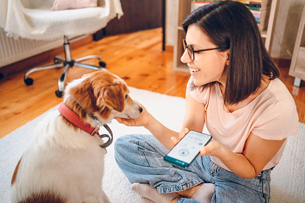 istock Woman with dog using phone 2227936486