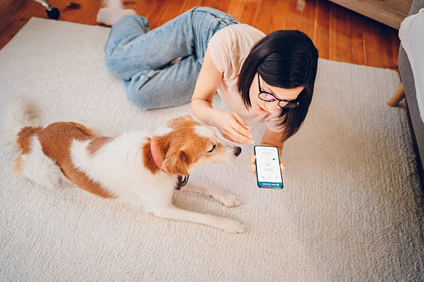 istock Woman with dog using phone 2227936523