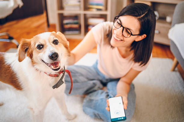 istock Woman with dog using phone 2227936652