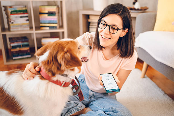 istock Woman with dog using phone 2227936940