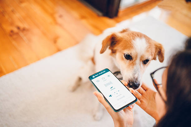 istock Woman with dog using phone 2227937014