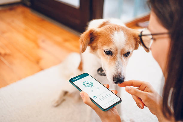 istock Woman with dog using phone 2227937052
