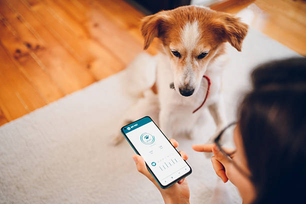 istock Woman with dog using phone 2227937058