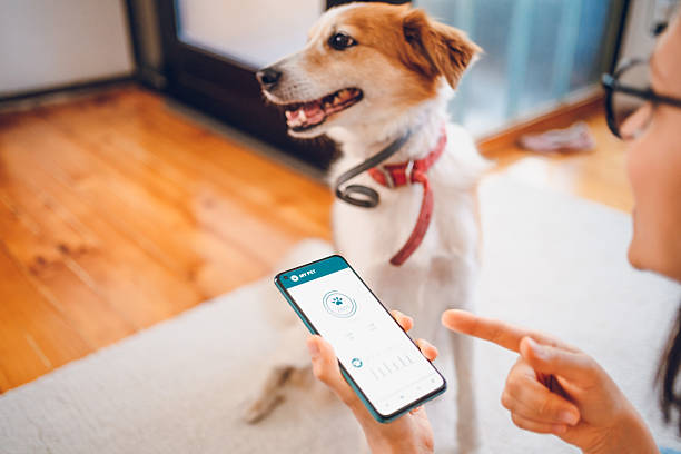 istock Woman with dog using phone 2227937084